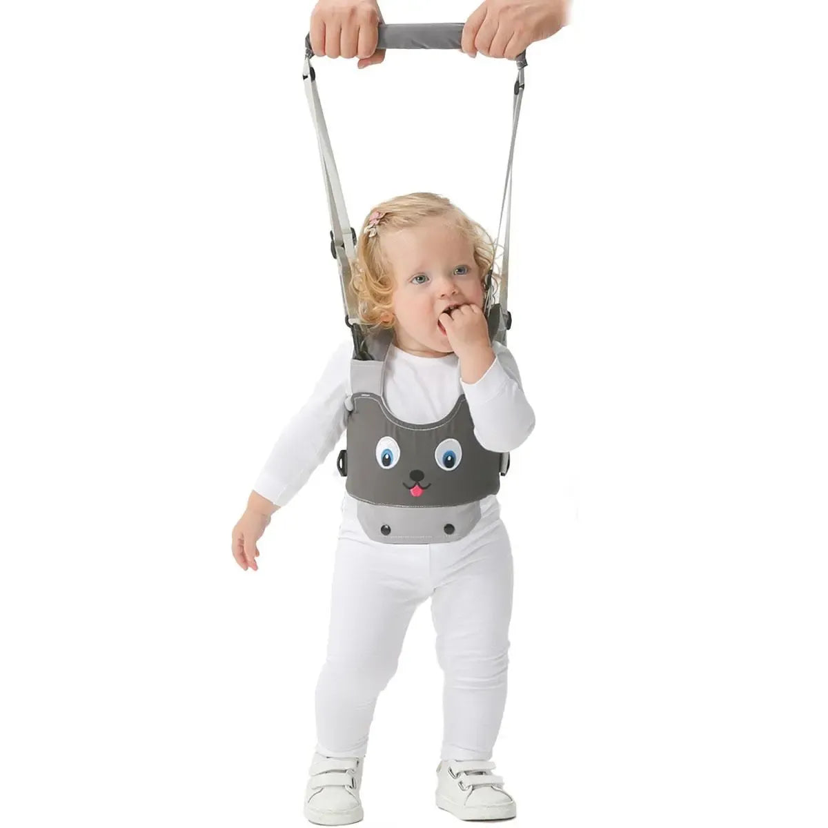 Portable Baby Walking Harness Anti-fall Belt