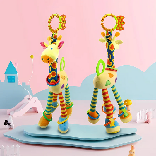 Baby Teether & Sensory Rattle