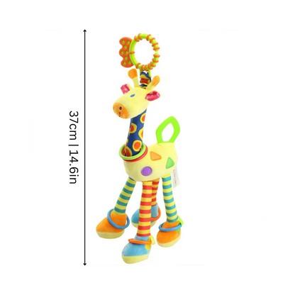 Baby Teether & Sensory Rattle